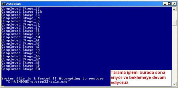 combofix_kullan%C4%B1m%C4%B1_6.jpg