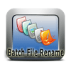 Bulk File Rename