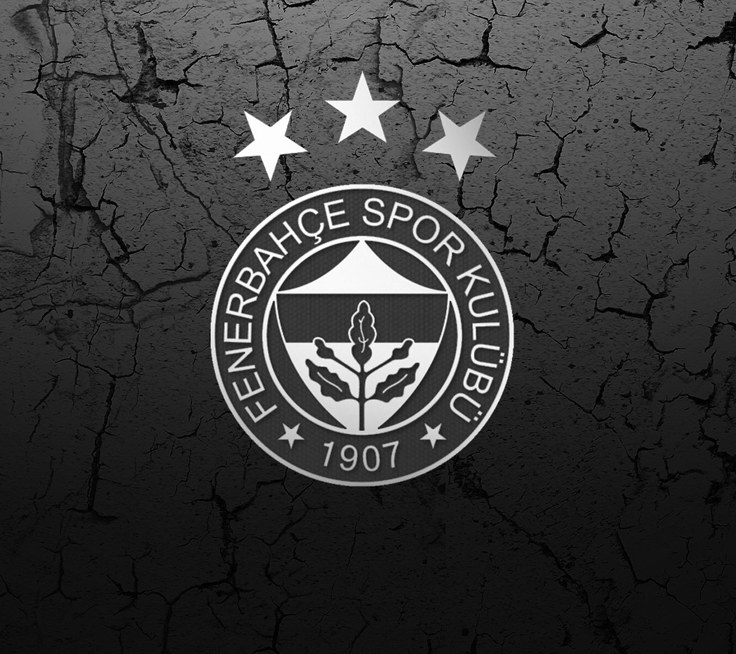 Fenerbahçe Duvar Kağıtları Fenerbahçe duvar kağıdı HD Fenerbahçe