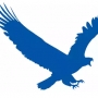 EagleGet